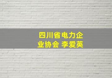 四川省电力企业协会 李爱英